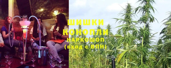 ПСИЛОЦИБИНОВЫЕ ГРИБЫ Верея