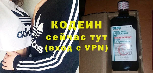 ПСИЛОЦИБИНОВЫЕ ГРИБЫ Верея