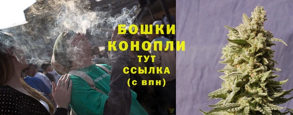 ПСИЛОЦИБИНОВЫЕ ГРИБЫ Верея